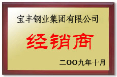 泊头宝丰经销商
